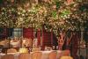 San Carlo - Birmingham San Carlo - Birmingham