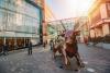 Bullring & Grand Central Bullring & Grand Central