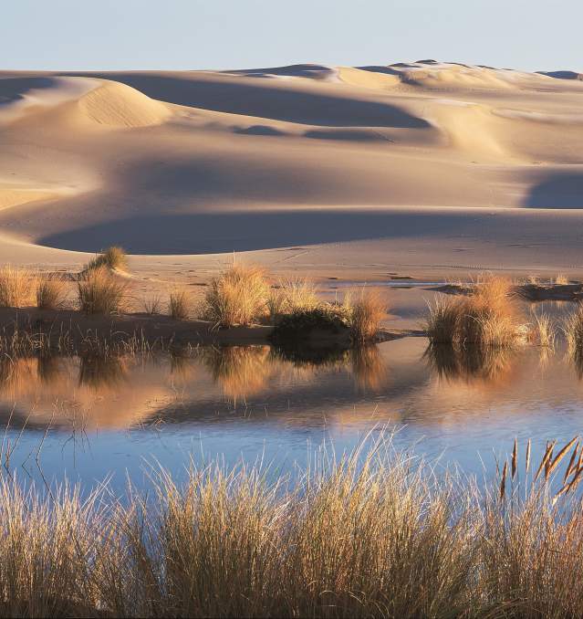 Four Ways to Explore Oregon's Sand Dunes