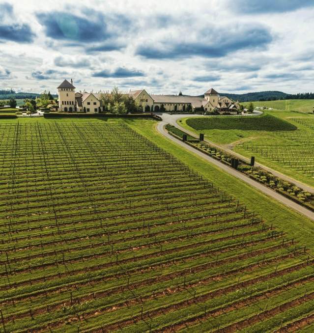 Oregon's Wine Story