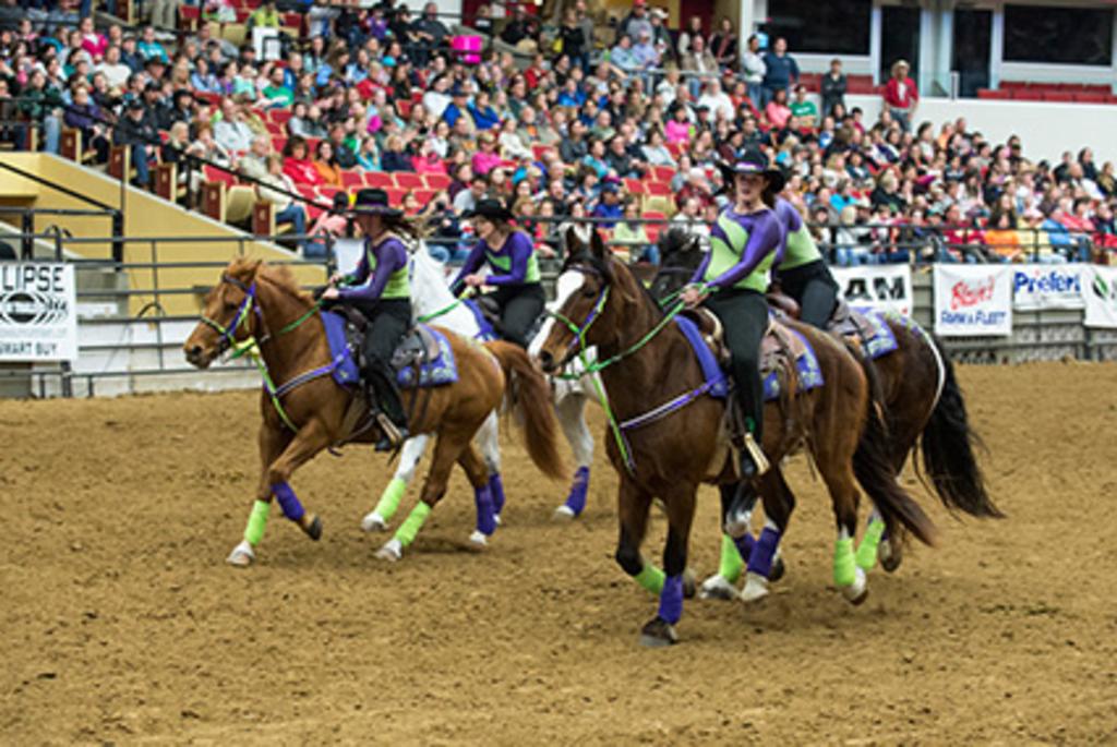 Midwest Horse Fair 2022 Dates