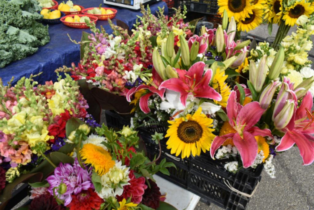 Hilldale Farmers Market