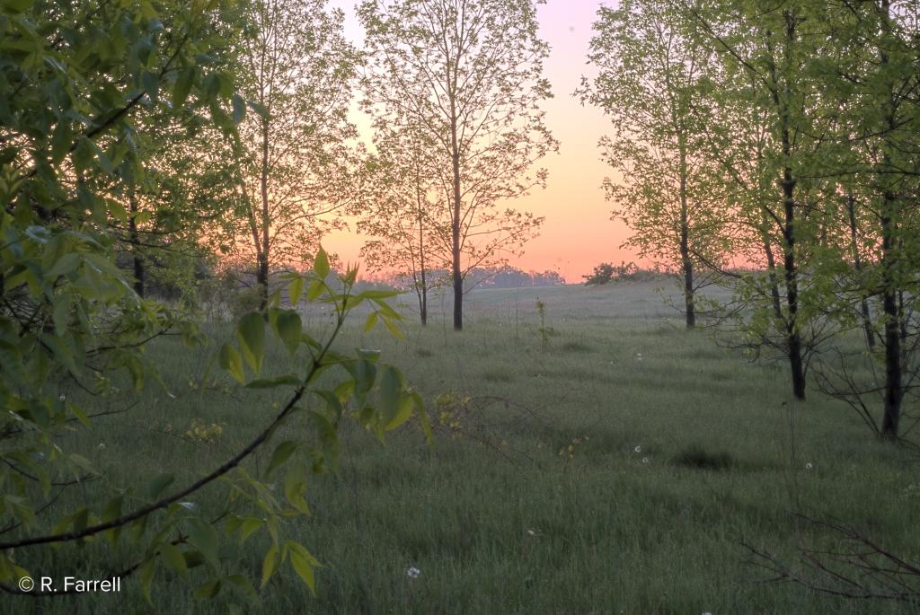 Badger Prairie County Park