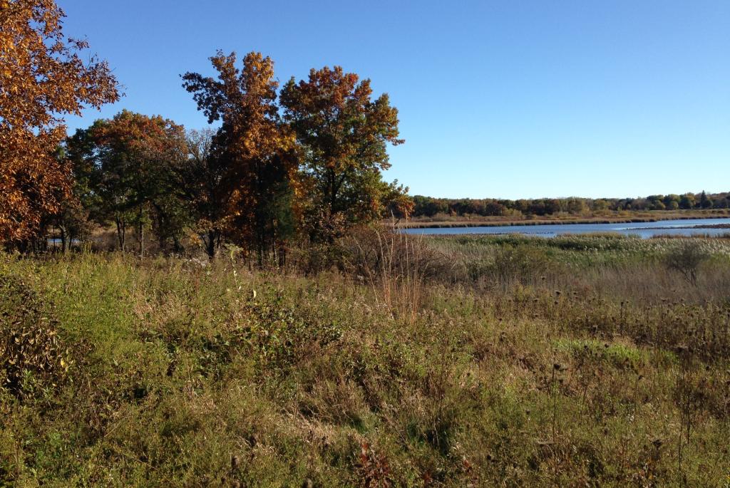 Cherokee Marsh NRA