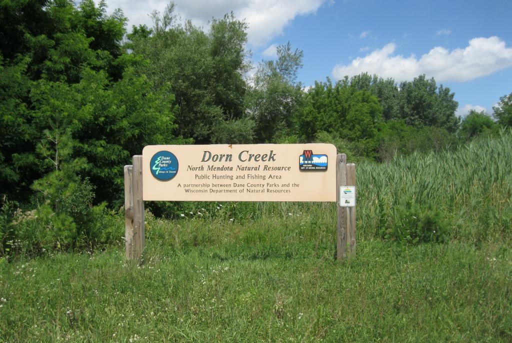 Dorn Creek