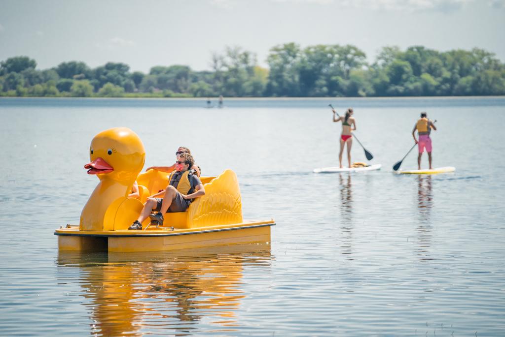 Rent the Duck Paddle Boat on Lake Wingra in Madison Wisconsin