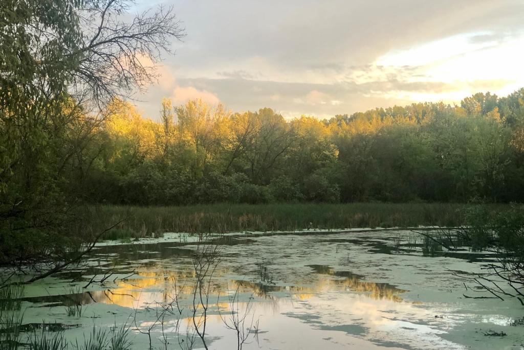 Lake Kegonsa State Park