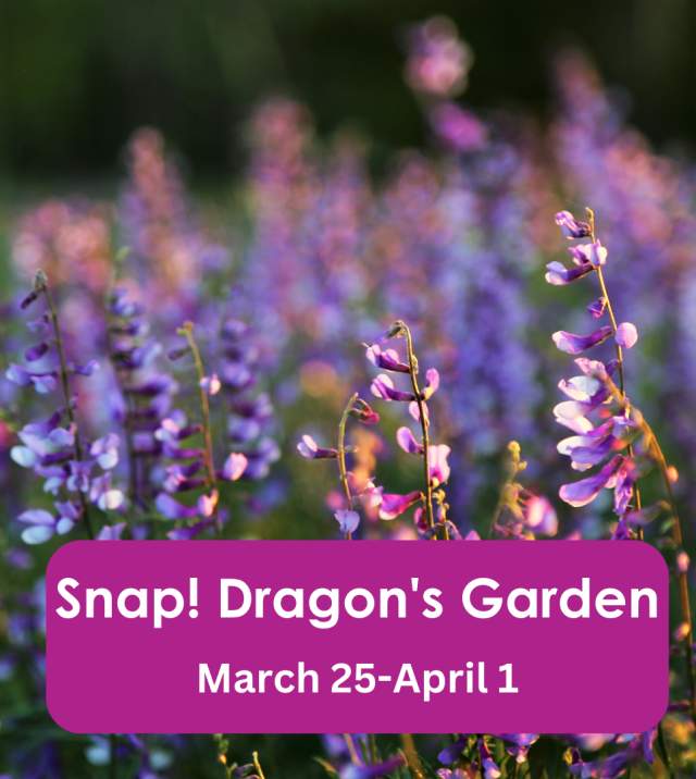 Snap! Dragon's Garden