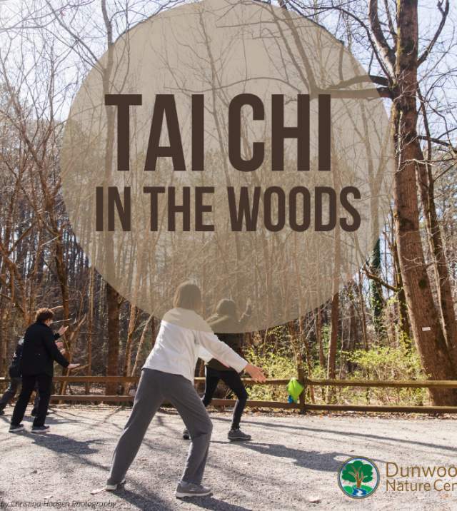 Tai Chi Workshop