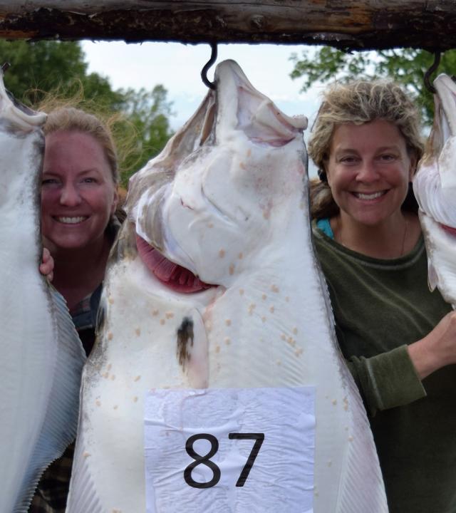 Alaska Step-On Guides