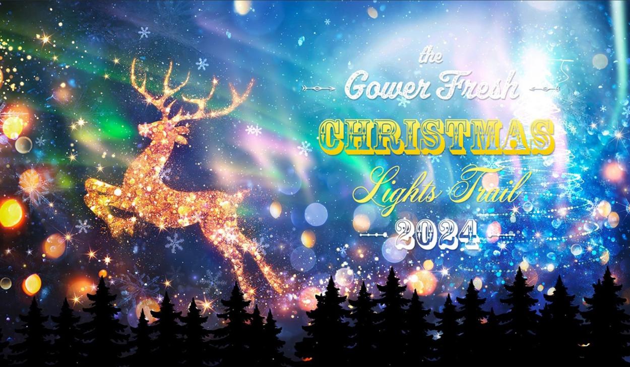 Gower Fresh Christmas Trees Light Trail -