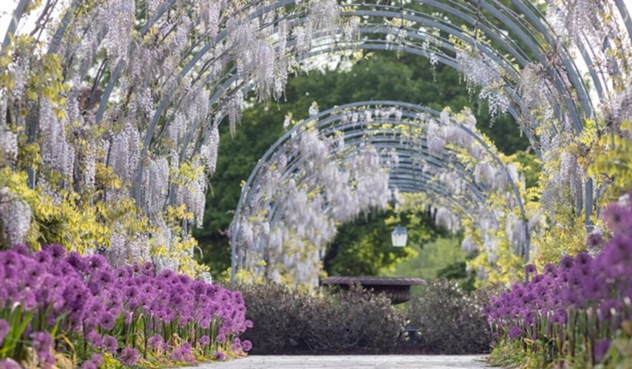 RHS Garden Wisley