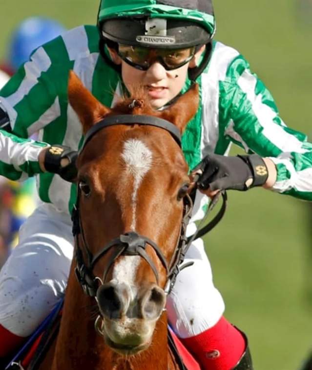 County Raceday - Market Rasen Racecourse