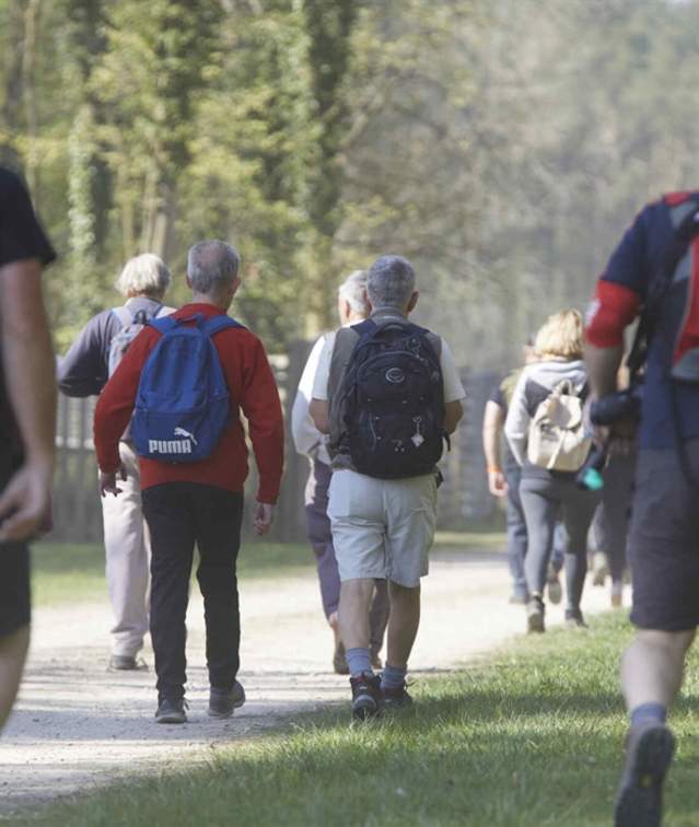 Lincolnshire Wolds Outdoor Festival