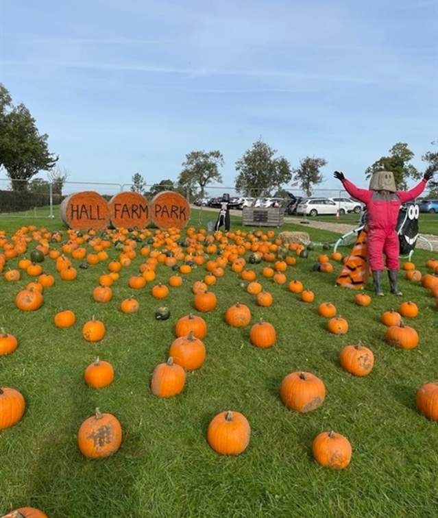 October Half Term Fun at Hall Farm Park