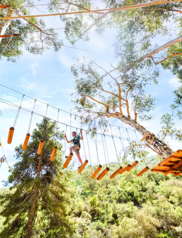11 Ideas for Team-Building on Catalina Island