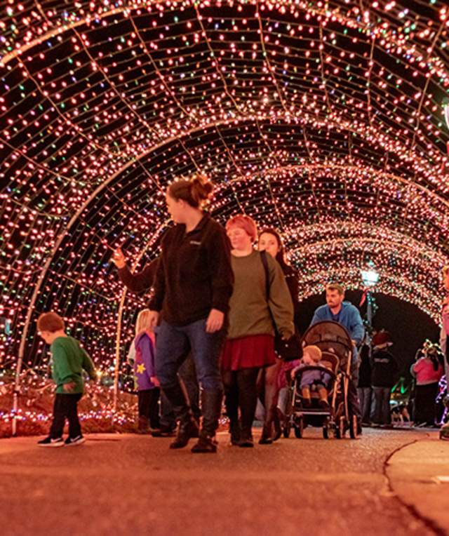 Christmas on the Cumberland