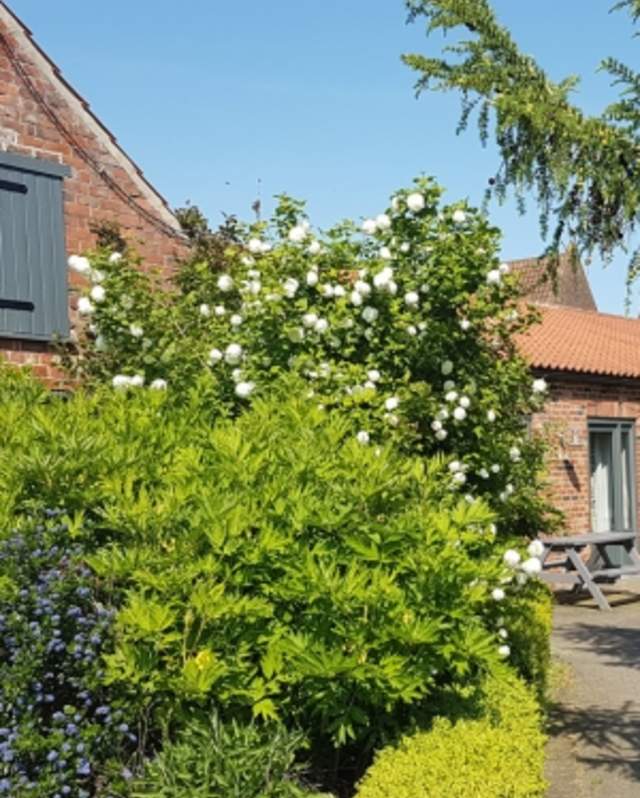 Elms Farm Cottages
