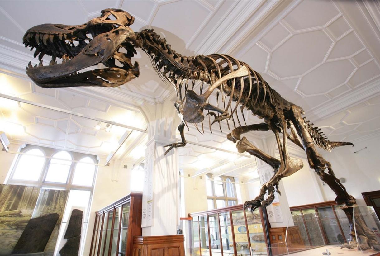 Manchester Museum