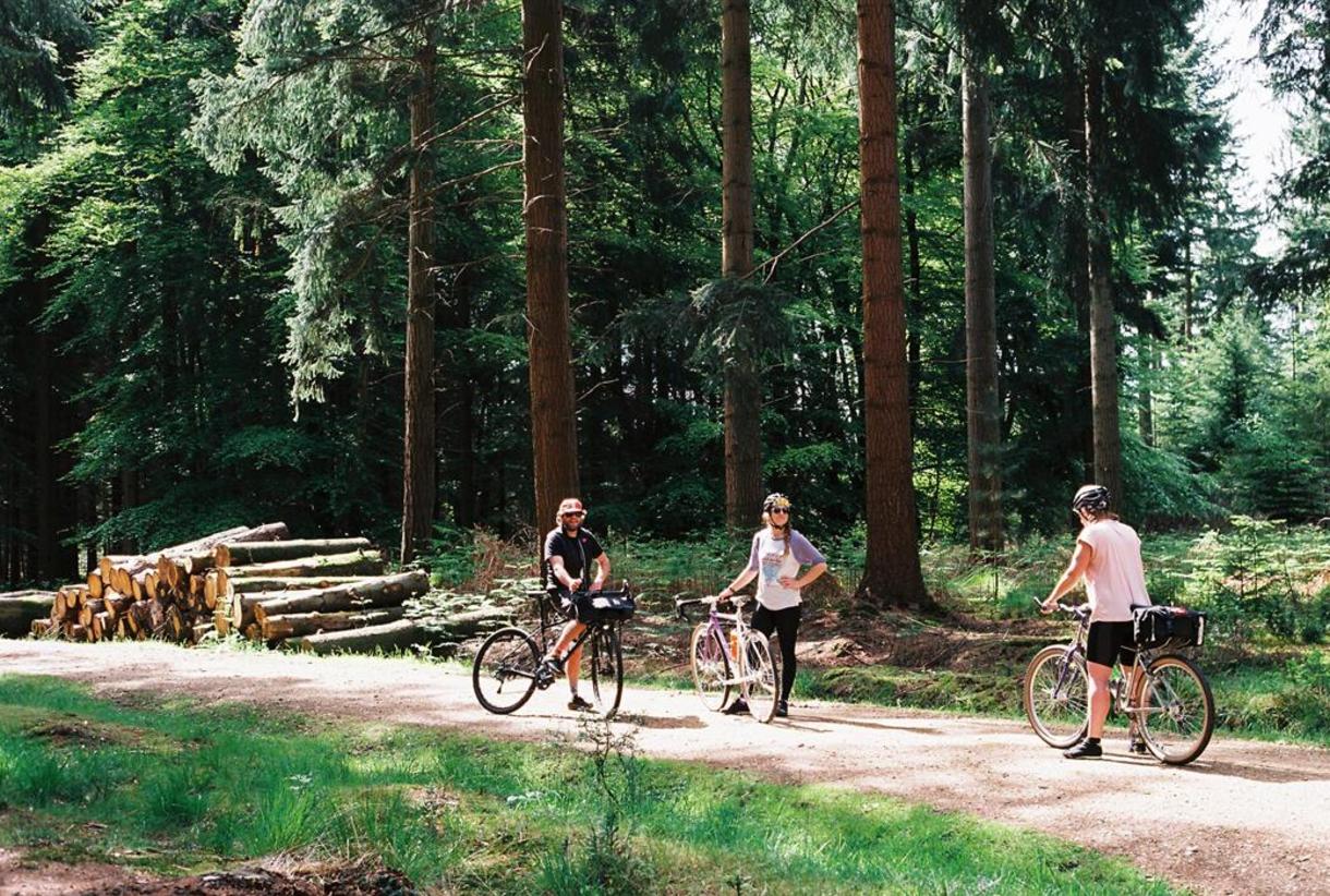 The Woods Cyclery Visit the New Forest