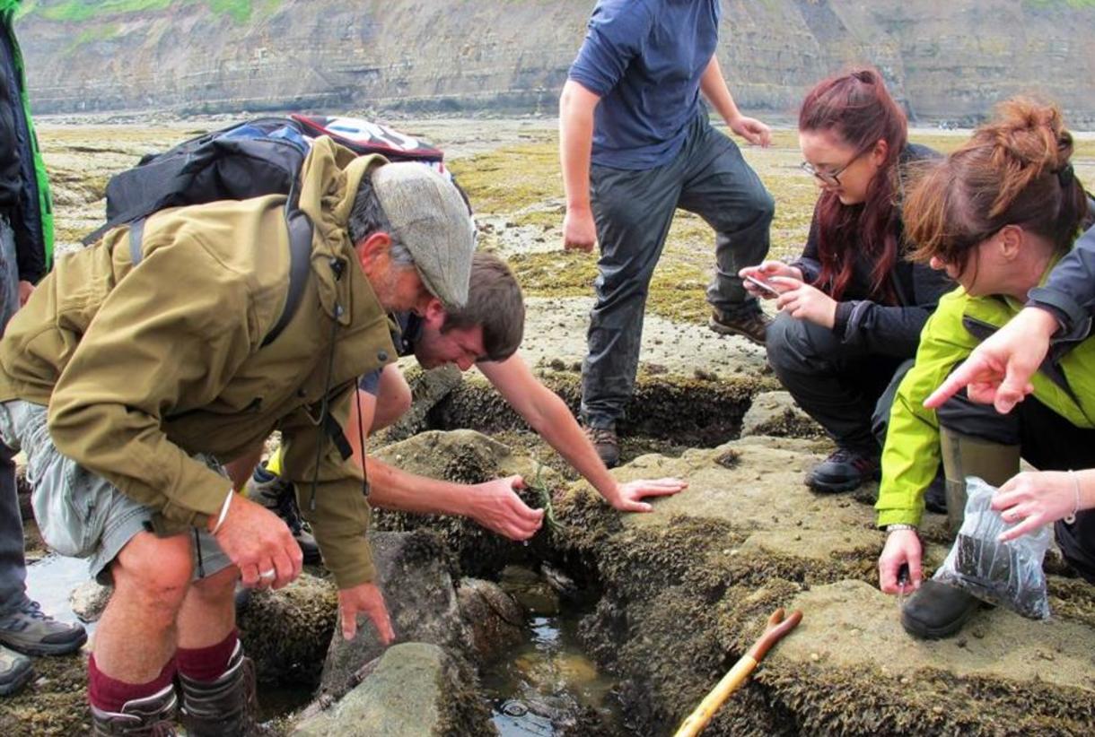 Mud bay taste of the wild outlet