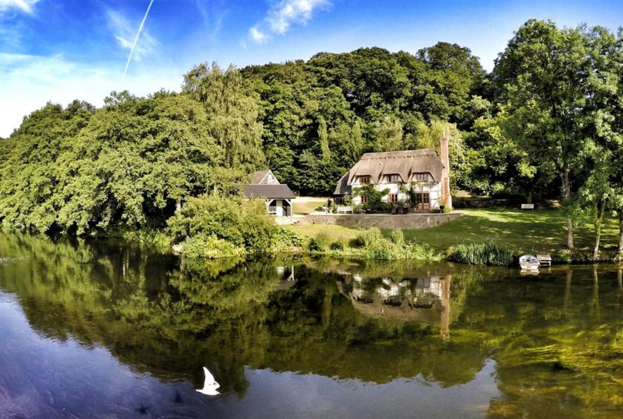 Cottages in the new forest dog friendly discount