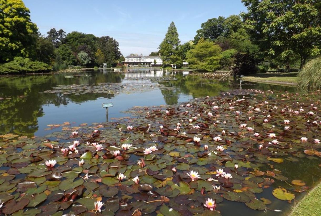 se permiten perros en burnby hall y gardens