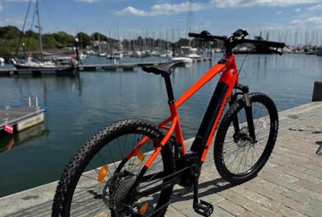 NF Bikes - Visit the New Forest