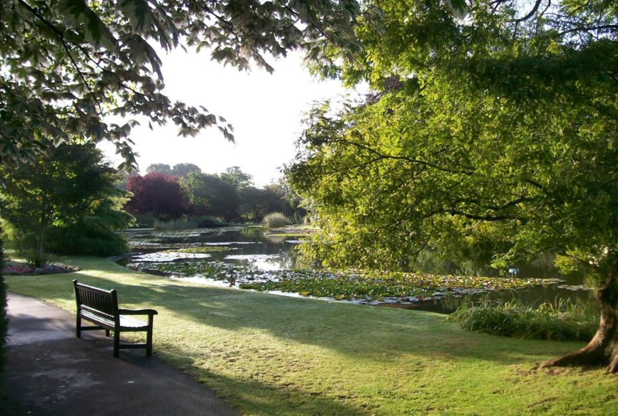 Burnby Hall Gardens Tulip Festival | Fasci Garden