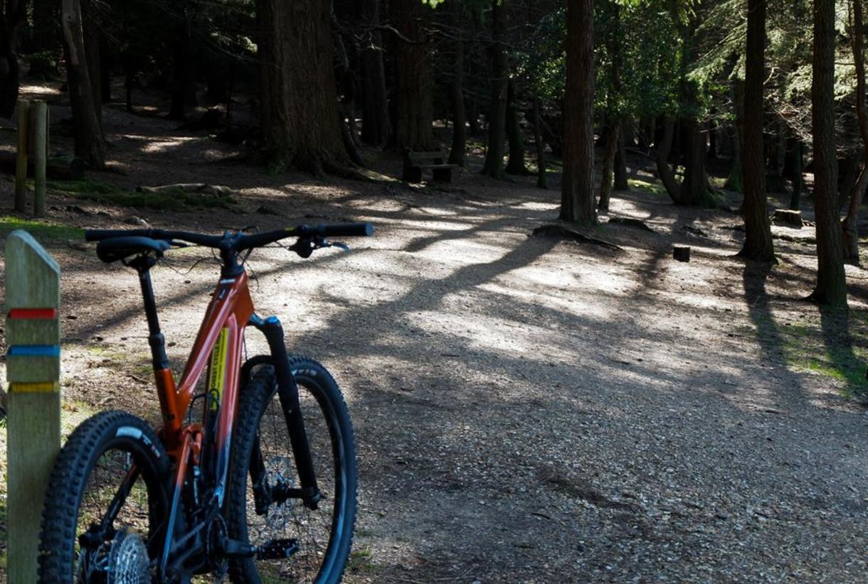Bike demo shop near me