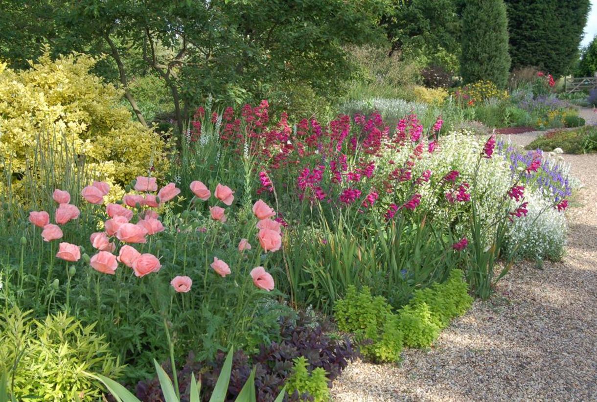 Beth Chatto's Plants & Gardens - Visit Colchester