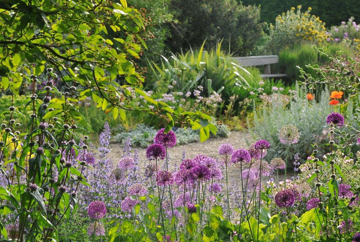 Beth Chatto's Plants & Gardens - Visit Colchester