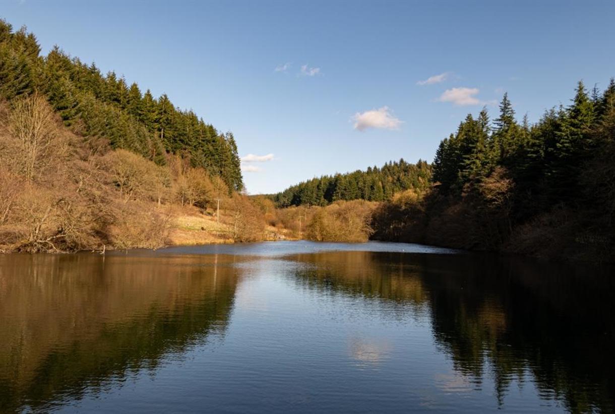 Picture of Dalby Forest