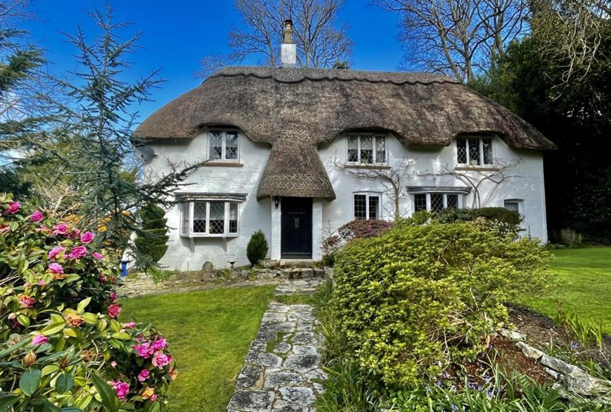 Multiple dog friendly top cottages new forest