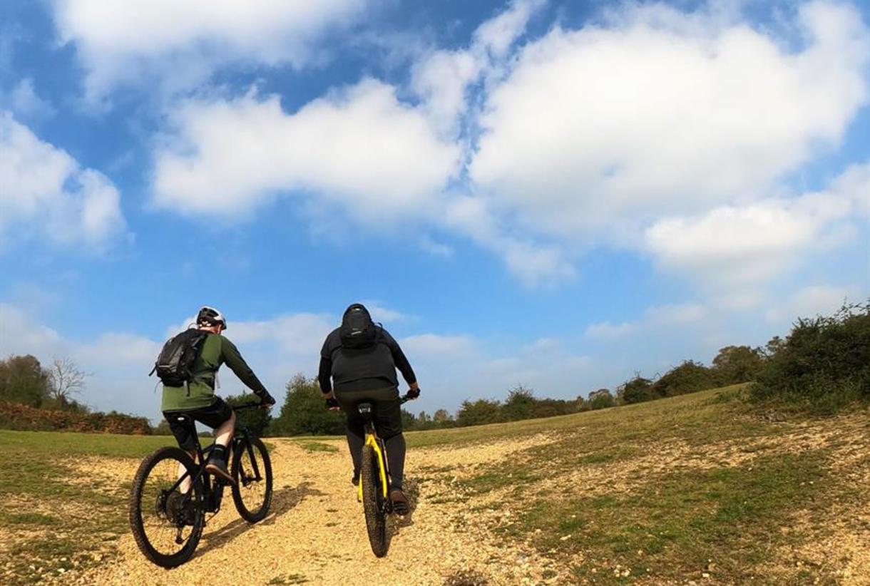 New forest clearance mountain biking