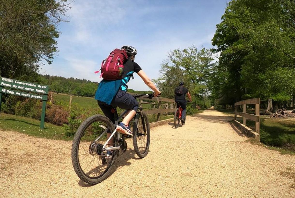 New forest clearance mountain biking