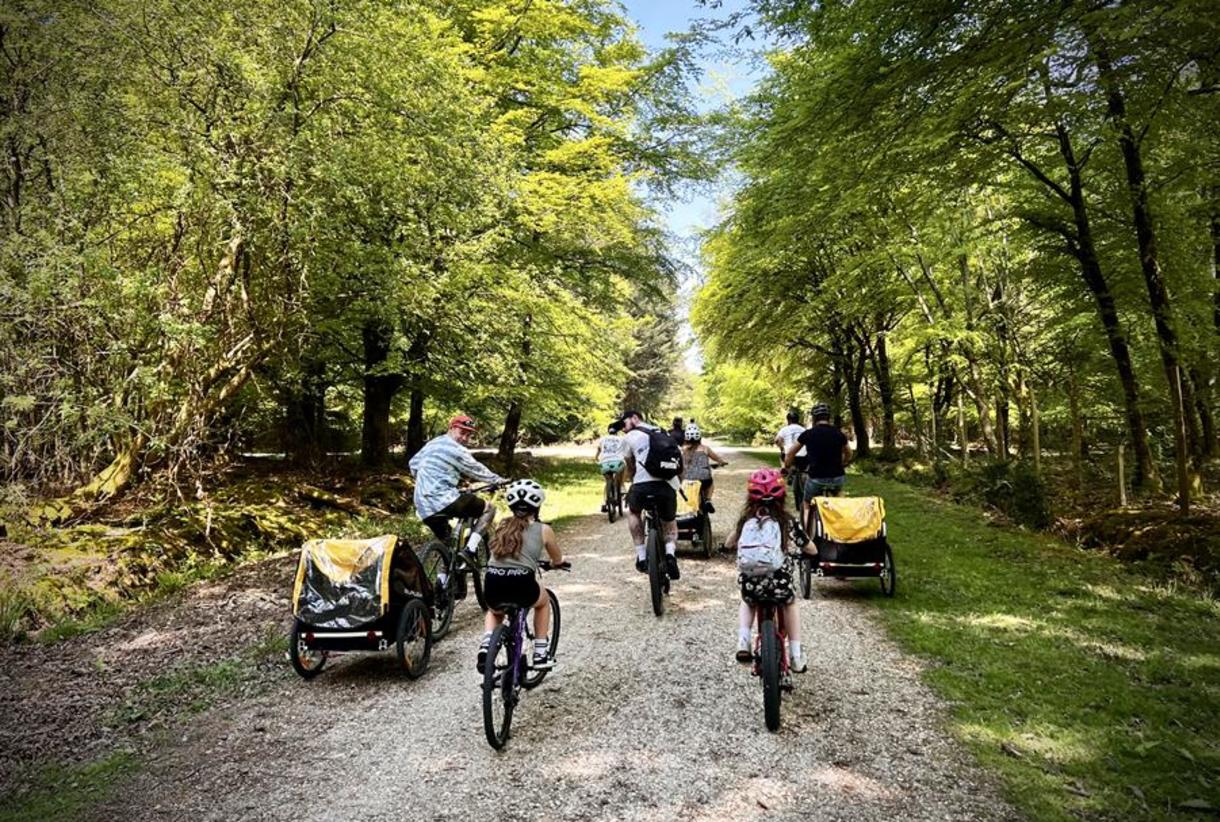 New forest cycling new arrivals