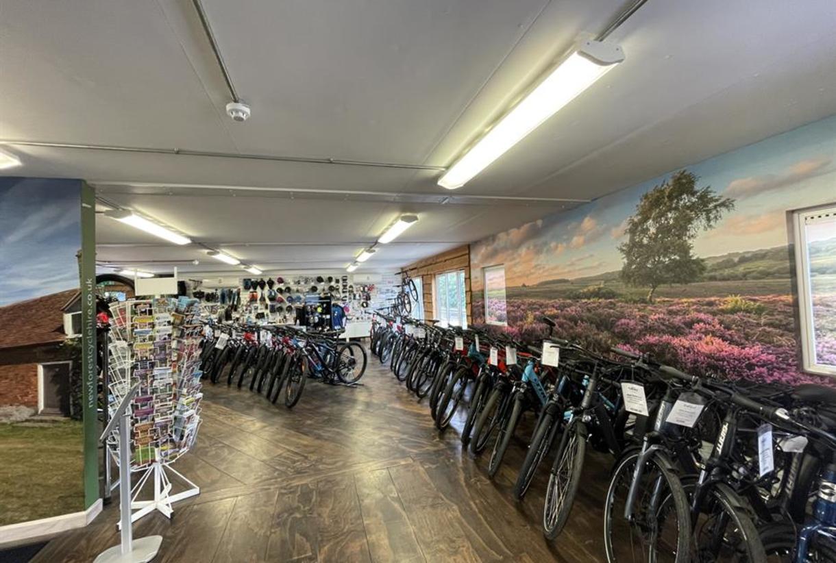Cycle experience clearance new forest
