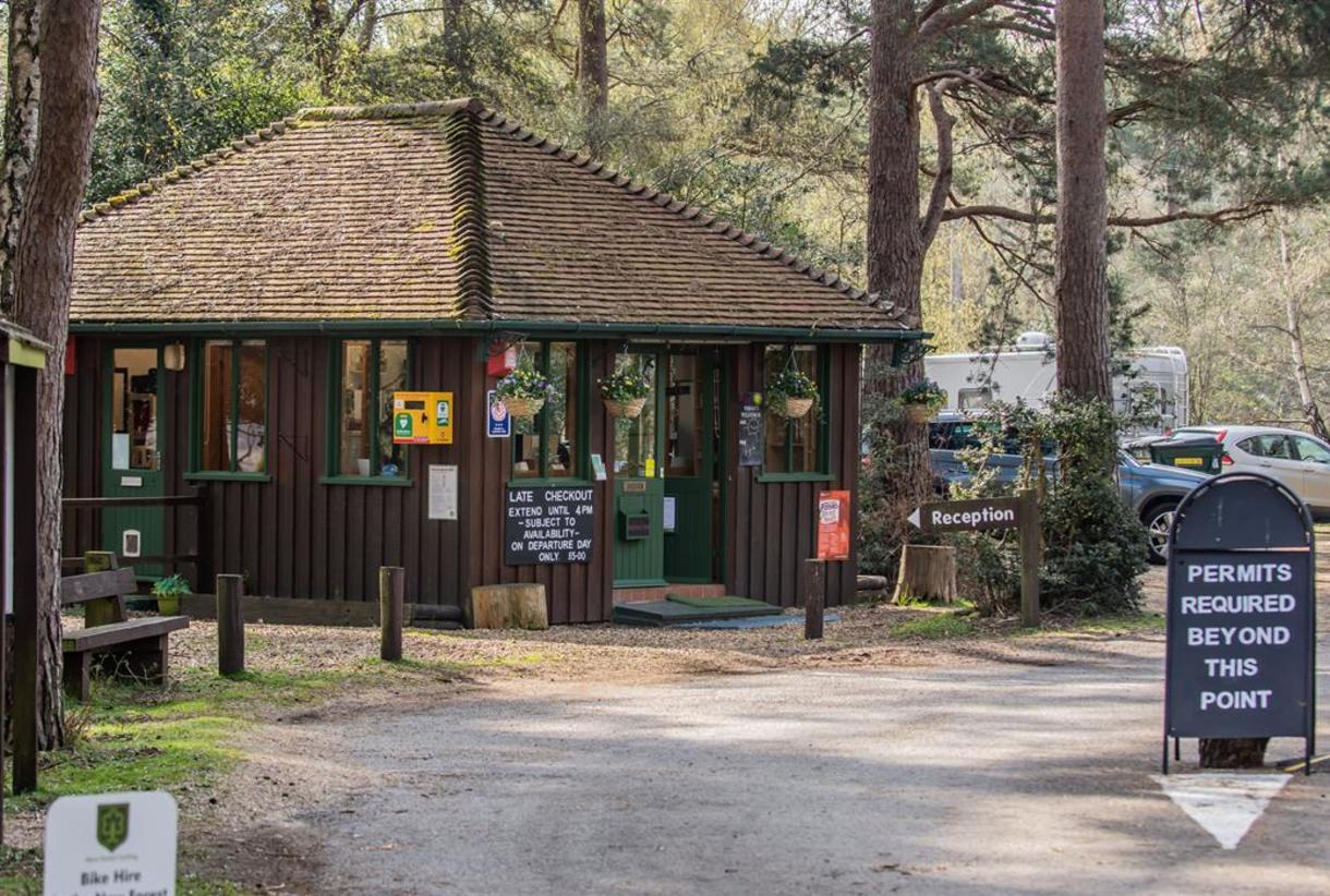 Campsites in the new forest with electric hook up cheap