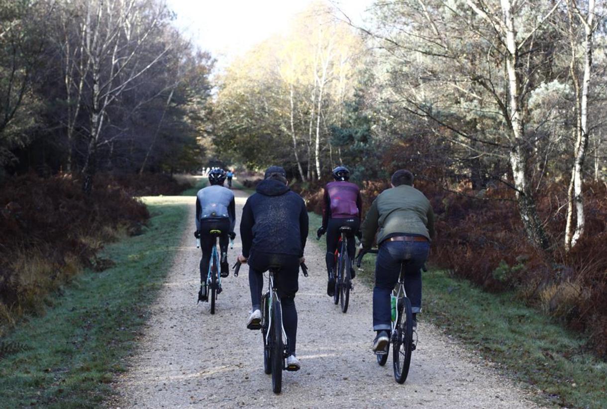 The Woods Cyclery Visit the New Forest