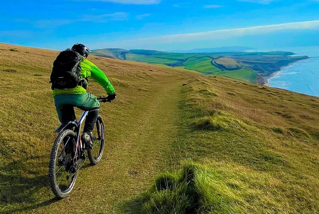 New forest mtb online