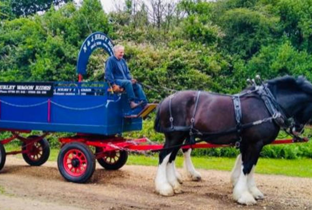 Burley wagon discount