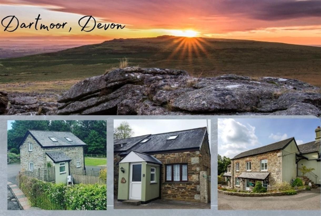 Dartmoor self catering shop dog friendly