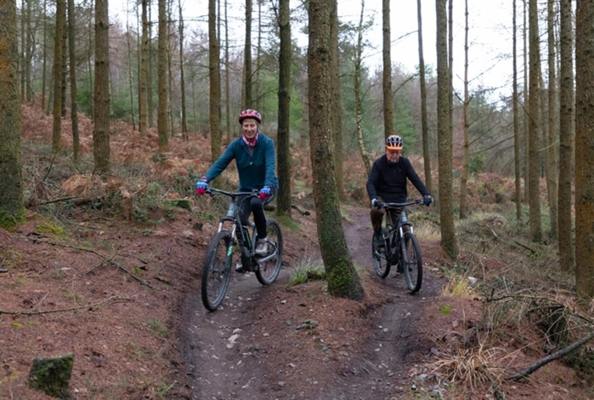 Haldon mountain shop biking