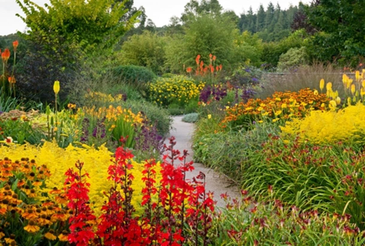 Rosemoor discount