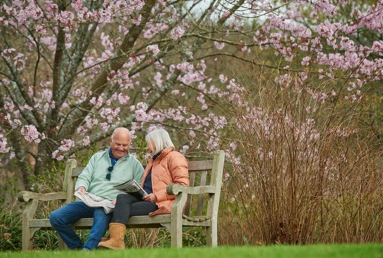 Rhs rosemoor bench online