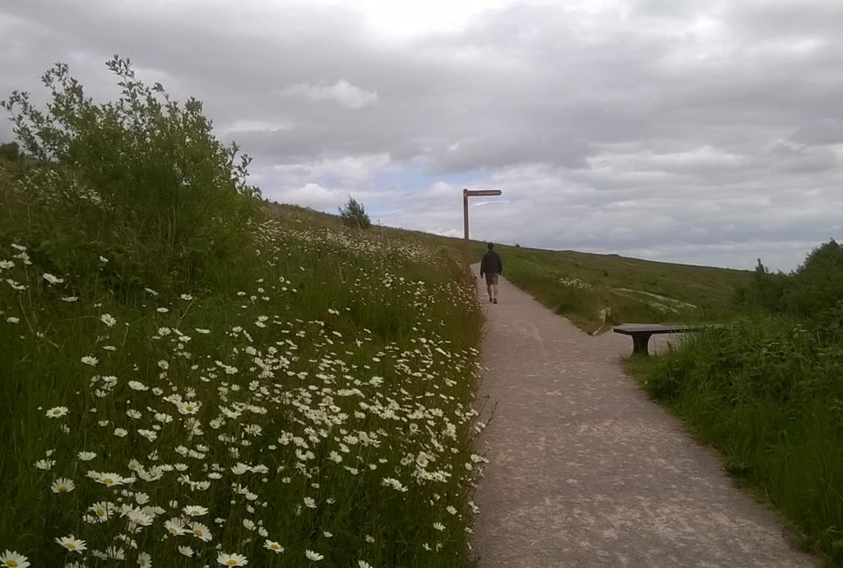 Port Sunlight River Park port-sunlight-walking-tours