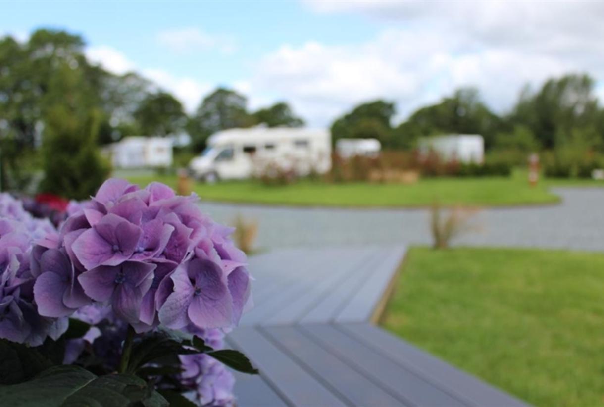 Concierge camping sale