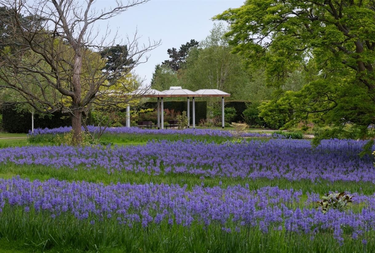 Wisley garden centre sale