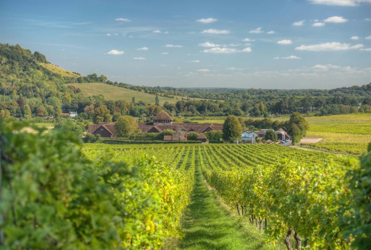 Denbies shop wine estate